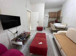 A New nice house with garden in city center